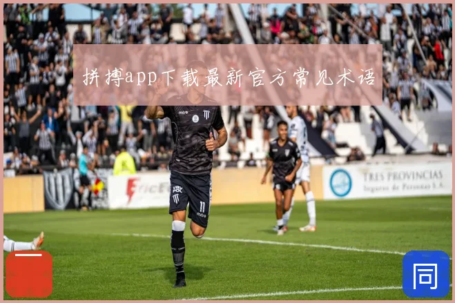 拼搏app下载最新官方常见术语